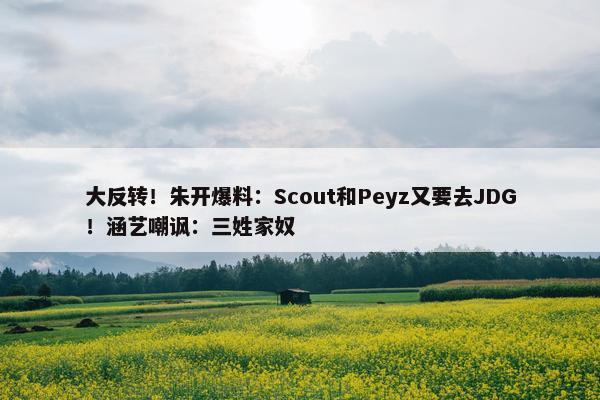 大反转！朱开爆料：Scout和Peyz又要去JDG！涵艺嘲讽：三姓家奴