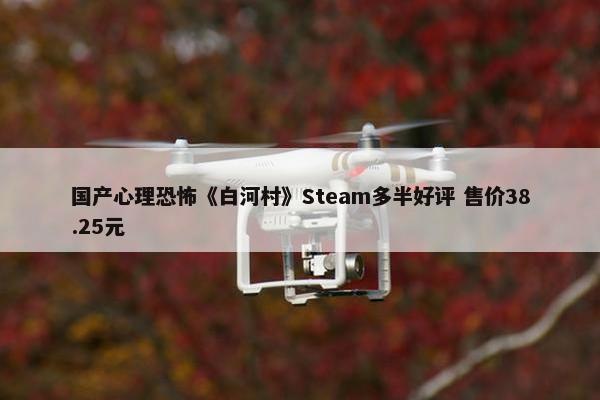 国产心理恐怖《白河村》Steam多半好评 售价38.25元