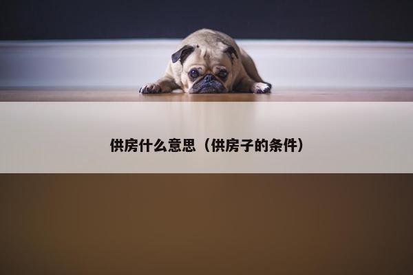 供房什么意思（供房子的条件）