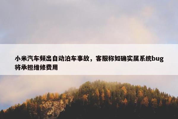 小米汽车频出自动泊车事故，客服称如确实属系统bug将承担维修费用