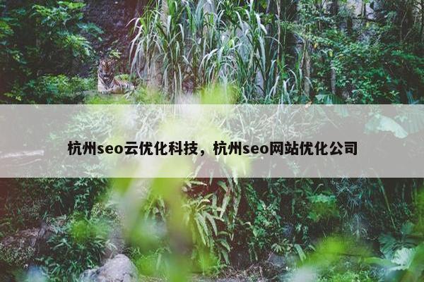 杭州seo云优化科技，杭州seo网站优化公司