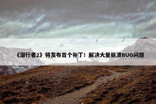 《潜行者2》将发布首个补丁！解决大量崩溃BUG问题