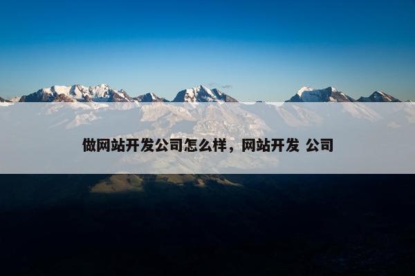 做网站开发公司怎么样，网站开发 公司