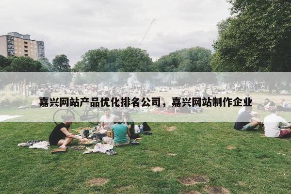 嘉兴网站产品优化排名公司，嘉兴网站制作企业