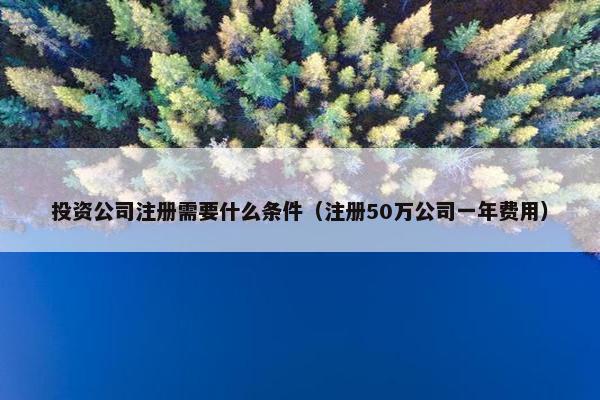 投资公司注册需要什么条件（注册50万公司一年费用）