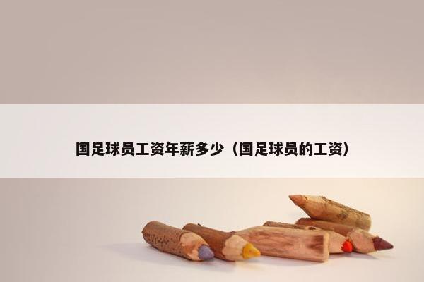 国足球员工资年薪多少（国足球员的工资）