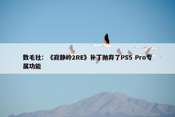 数毛社：《寂静岭2RE》补丁抛弃了PS5 Pro专属功能