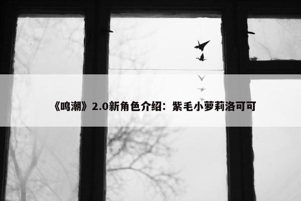 《鸣潮》2.0新角色介绍：紫毛小萝莉洛可可