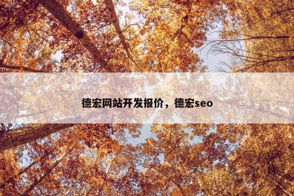 德宏网站开发报价，德宏seo