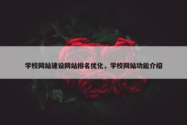 学校网站建设网站排名优化，学校网站功能介绍