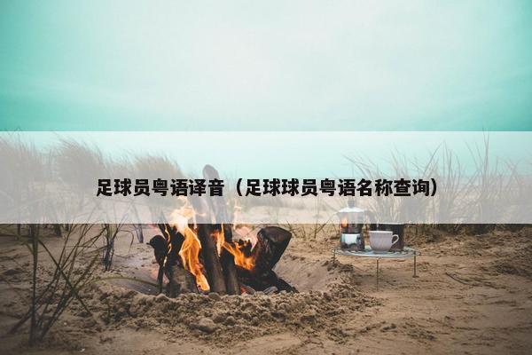 足球员粤语译音（足球球员粤语名称查询）