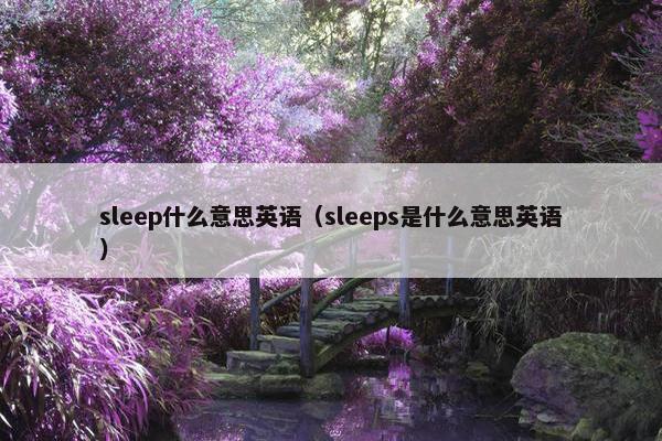 sleep什么意思英语（sleeps是什么意思英语）