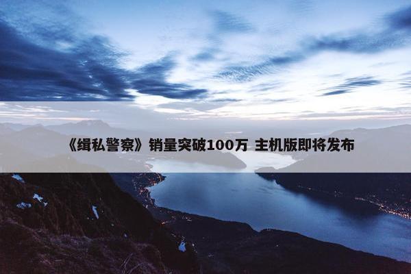 《缉私警察》销量突破100万 主机版即将发布