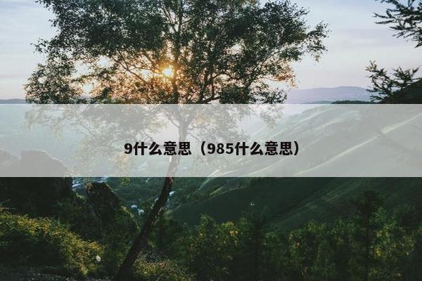 9什么意思（985什么意思）