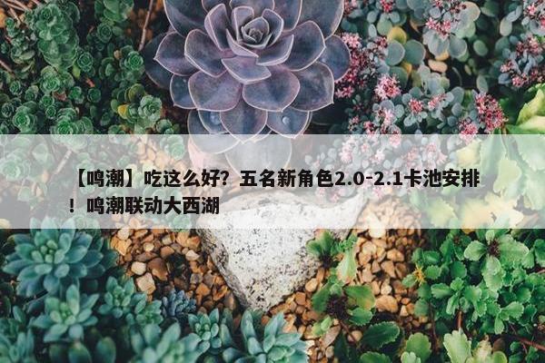 【鸣潮】吃这么好？五名新角色2.0-2.1卡池安排！鸣潮联动大西湖