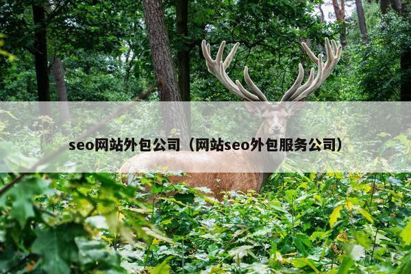 seo网站外包公司（网站seo外包服务公司）