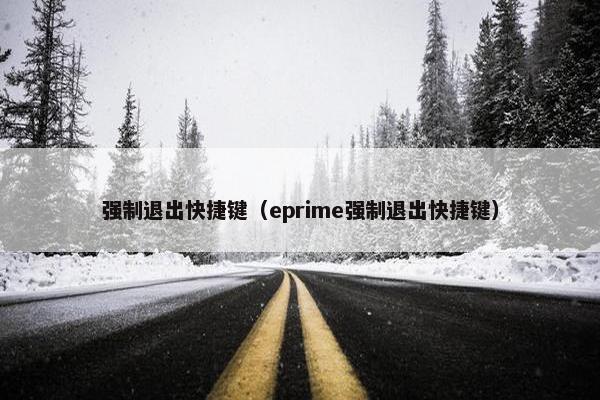 强制退出快捷键（eprime强制退出快捷键）