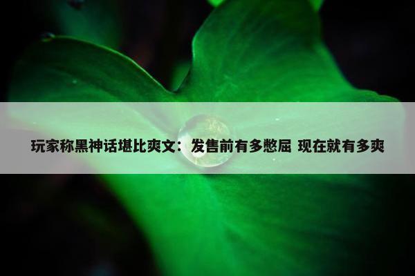 玩家称黑神话堪比爽文：发售前有多憋屈 现在就有多爽