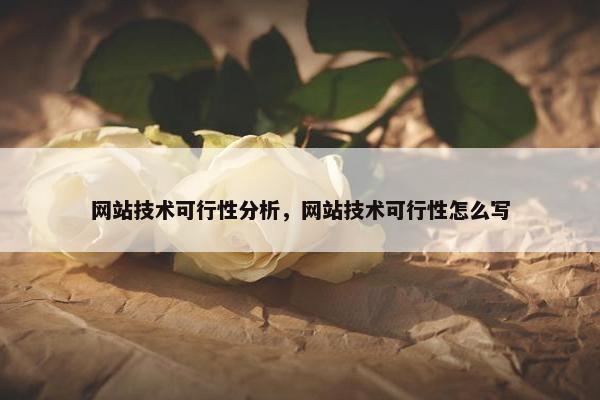 网站技术可行性分析，网站技术可行性怎么写