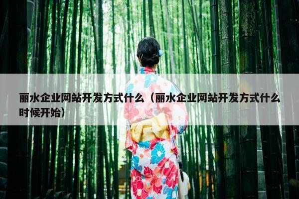 丽水企业网站开发方式什么（丽水企业网站开发方式什么时候开始）