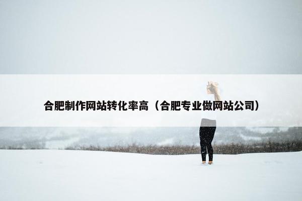 合肥制作网站转化率高（合肥专业做网站公司）