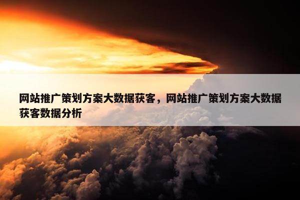 网站推广策划方案大数据获客，网站推广策划方案大数据获客数据分析