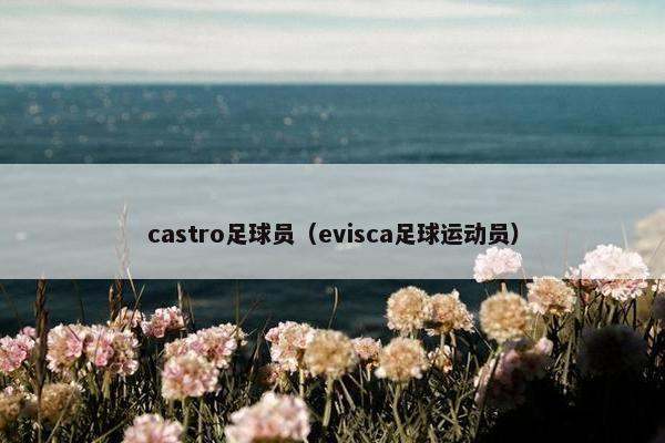 castro足球员（evisca足球运动员）