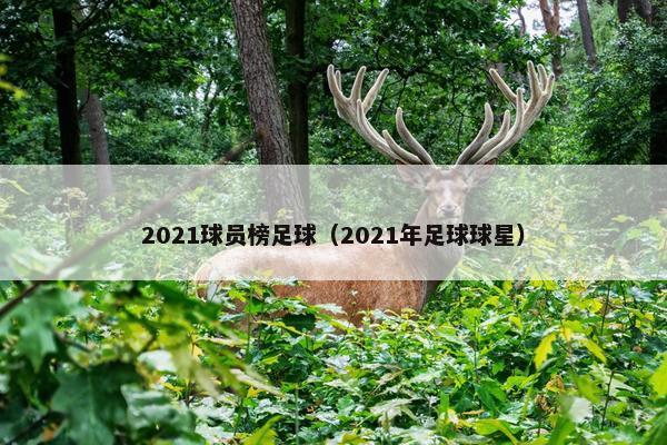 2021球员榜足球（2021年足球球星）