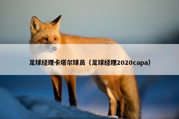 足球经理卡塔尔球员（足球经理2020capa）