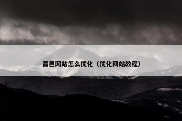 昌邑网站怎么优化（优化网站教程）