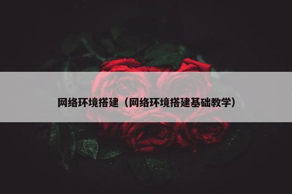 网络环境搭建（网络环境搭建基础教学）