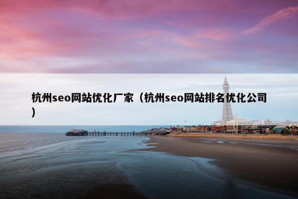 杭州seo网站优化厂家（杭州seo网站排名优化公司）