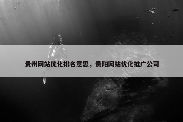 贵州网站优化排名意思，贵阳网站优化推广公司