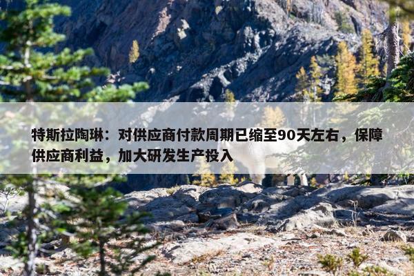 特斯拉陶琳：对供应商付款周期已缩至90天左右，保障供应商利益，加大研发生产投入