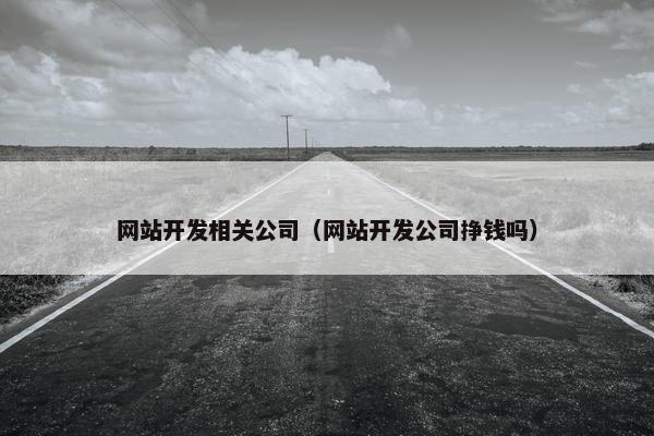 网站开发相关公司（网站开发公司挣钱吗）