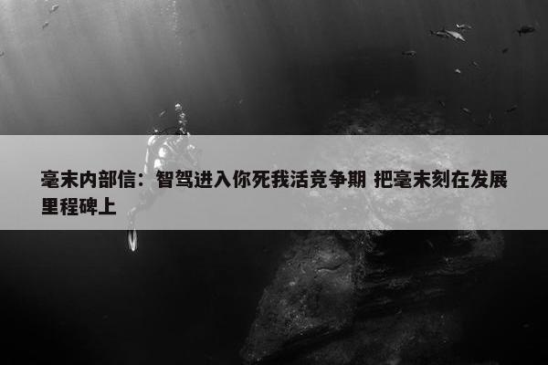 毫末内部信：智驾进入你死我活竞争期 把毫末刻在发展里程碑上