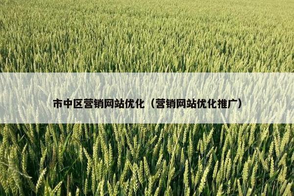 市中区营销网站优化（营销网站优化推广）