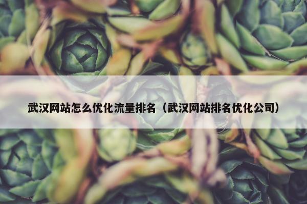 武汉网站怎么优化流量排名（武汉网站排名优化公司）