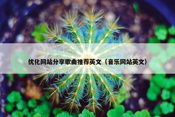 优化网站分享歌曲推荐英文（音乐网站英文）