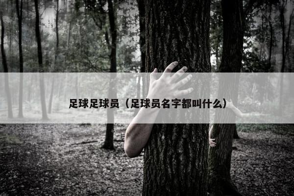 足球足球员（足球员名字都叫什么）