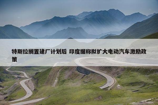 特斯拉搁置建厂计划后 印度据称拟扩大电动汽车激励政策