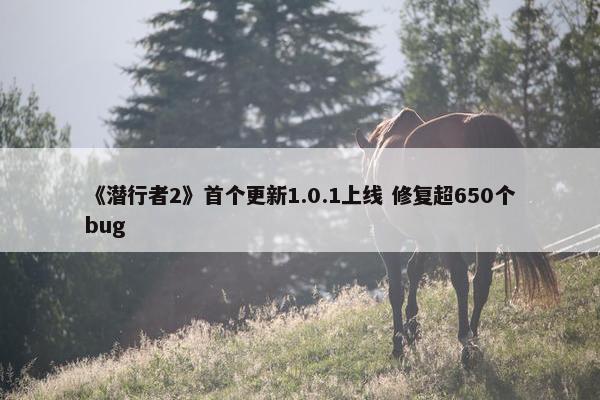 《潜行者2》首个更新1.0.1上线 修复超650个bug