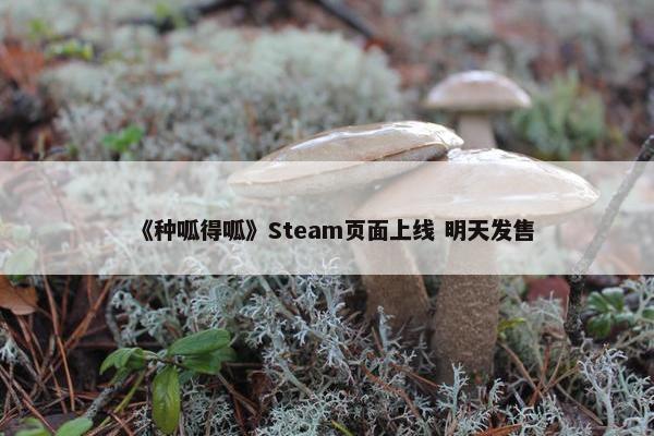 《种呱得呱》Steam页面上线 明天发售