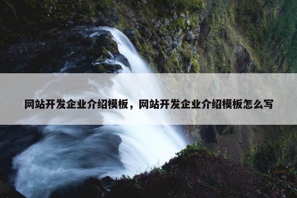 网站开发企业介绍模板，网站开发企业介绍模板怎么写