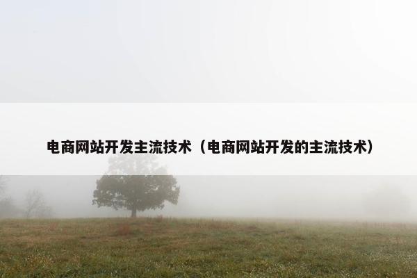 电商网站开发主流技术（电商网站开发的主流技术）