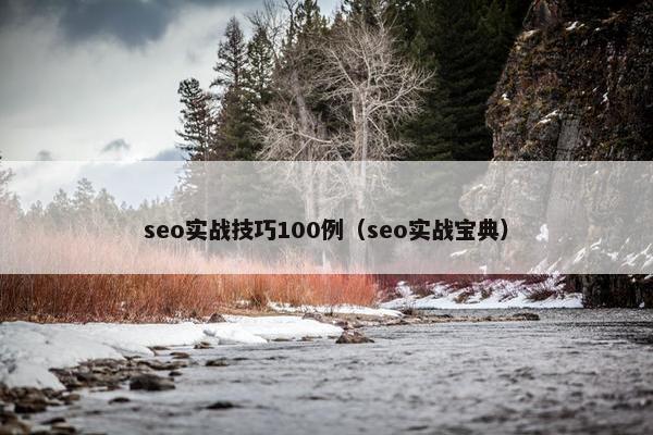 seo实战技巧100例（seo实战宝典）