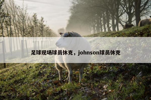 足球现场球员休克，johnson球员休克