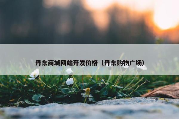 丹东商城网站开发价格（丹东购物广场）