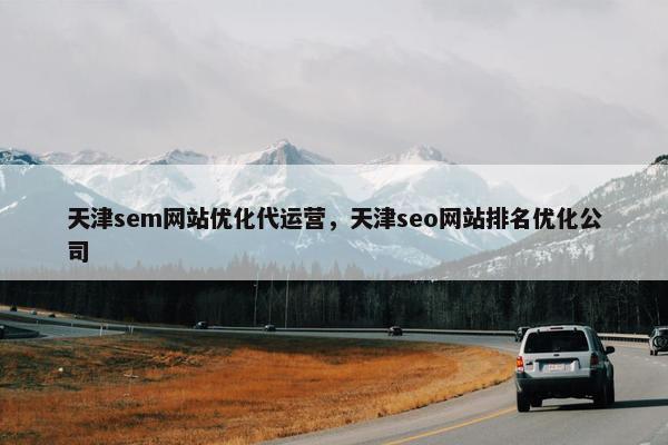 天津sem网站优化代运营，天津seo网站排名优化公司