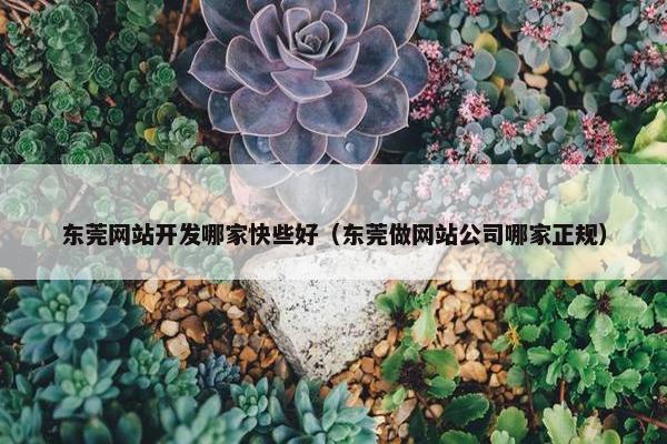 东莞网站开发哪家快些好（东莞做网站公司哪家正规）